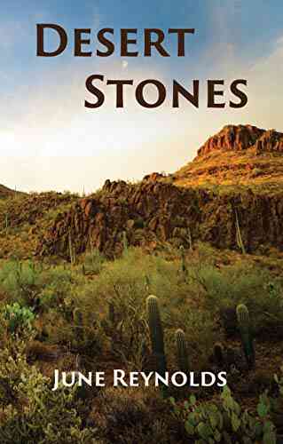 Desert Stones Jorge Alvarado Jimenez