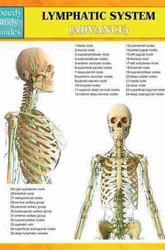 Lymphatic System (Speedy Study Guides)