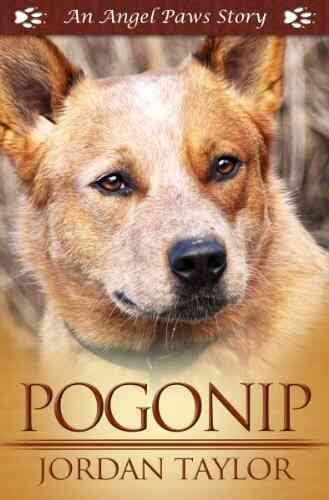 Pogonip (Angel Paws) Jordan Taylor