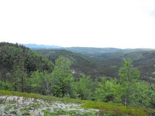 Alaskan Family Snowshoe Line Lemmy Gorak