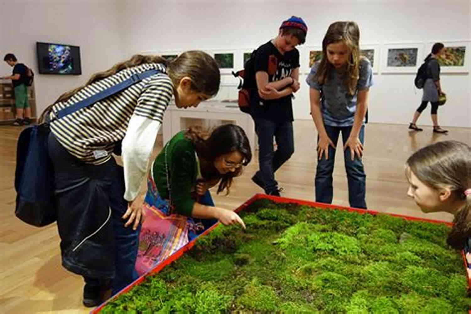 A Group Of Students In A Botany Class, Eagerly Observing Plants In A Lush Greenhouse Botany Lesson Tirso De Molina