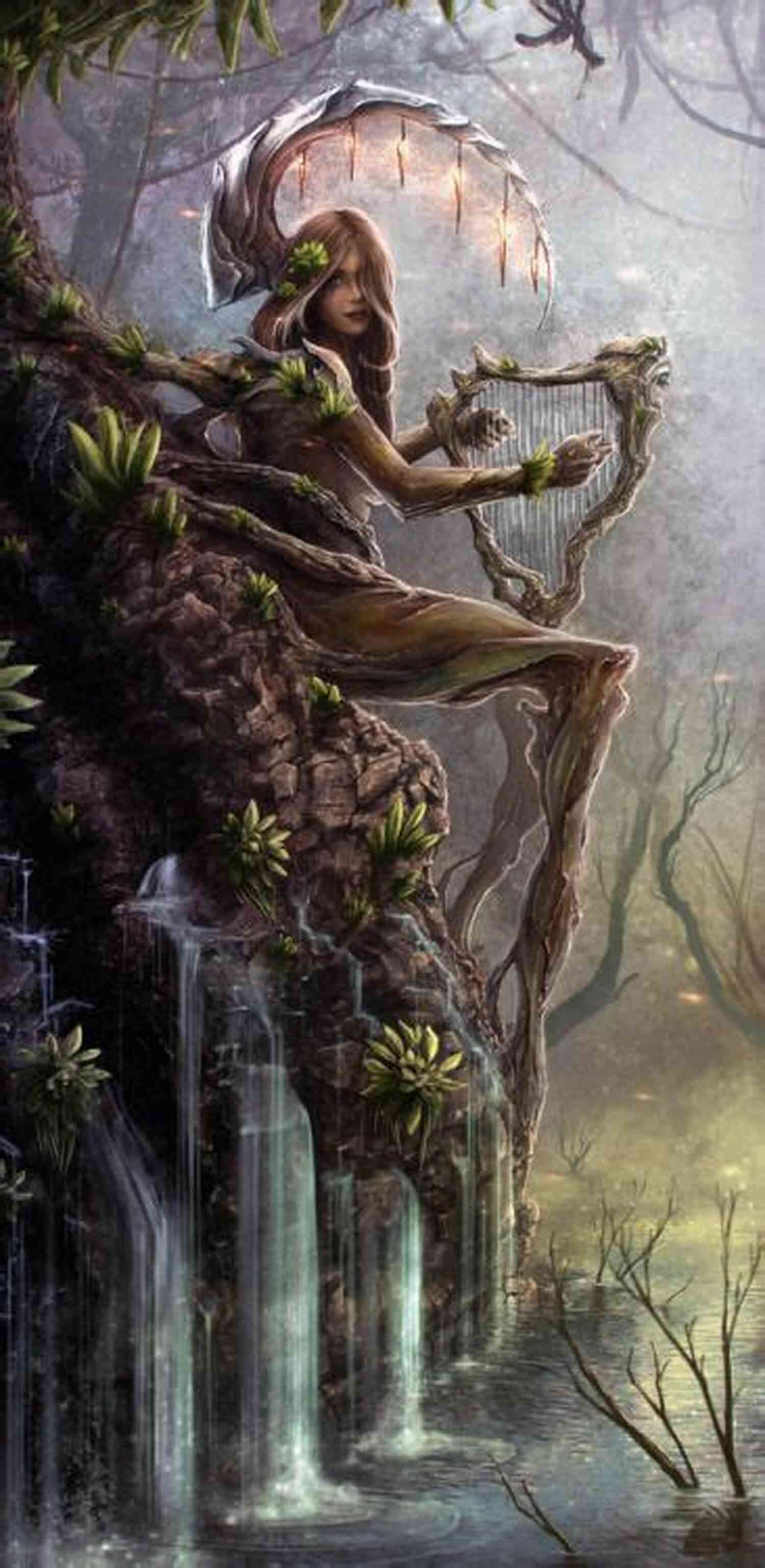 A Mystical Forest In Terra Haven, Where Dryads Protect Ancient Secrets Deadlines Dryads: A Terra Haven Chronicles Prequel