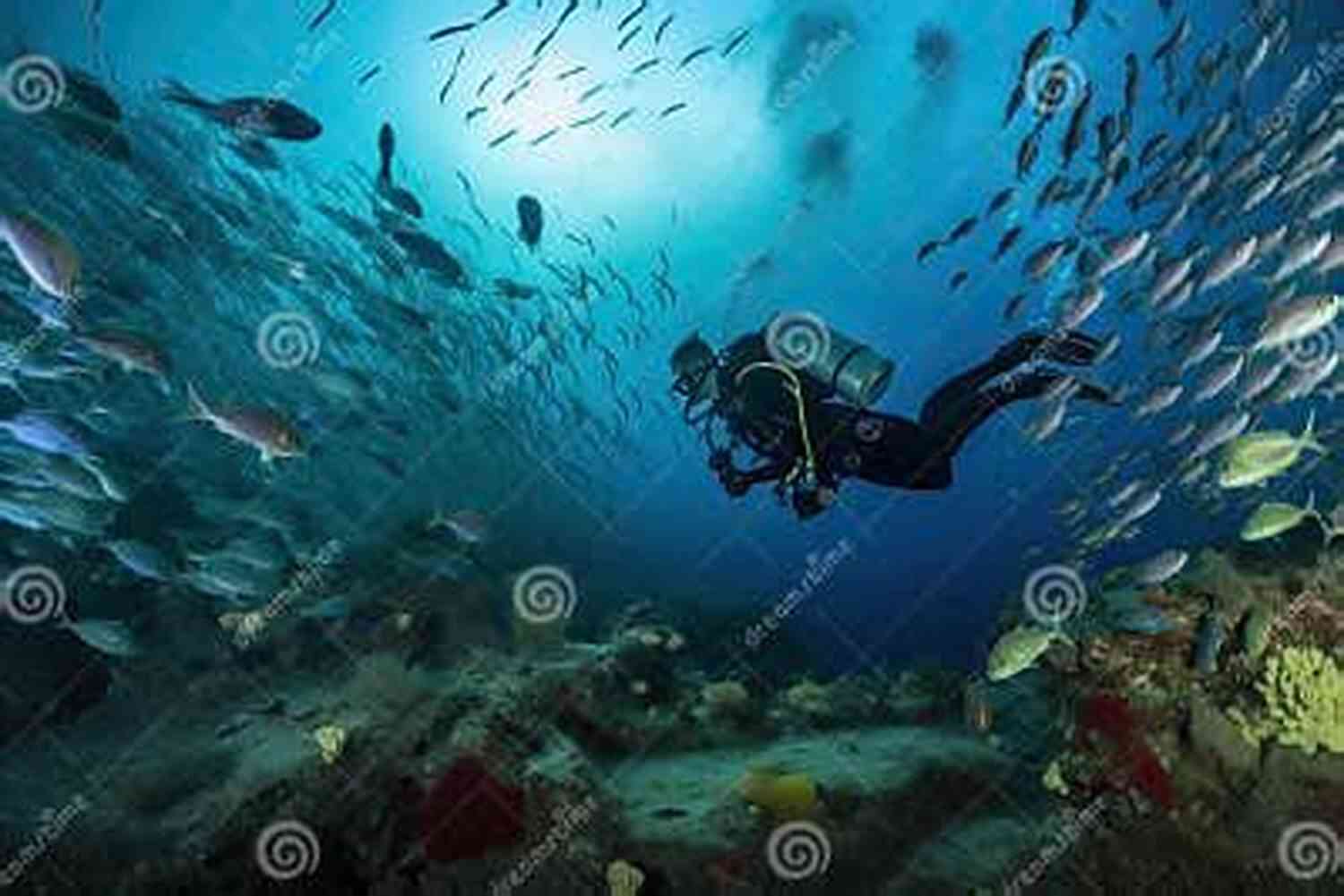 A Still From Beneath The Surface A Diver Exploring The Depths Of The Ocean Surrounded By Mesmerizing Marine Life. Under The Lintel And Other Shorts