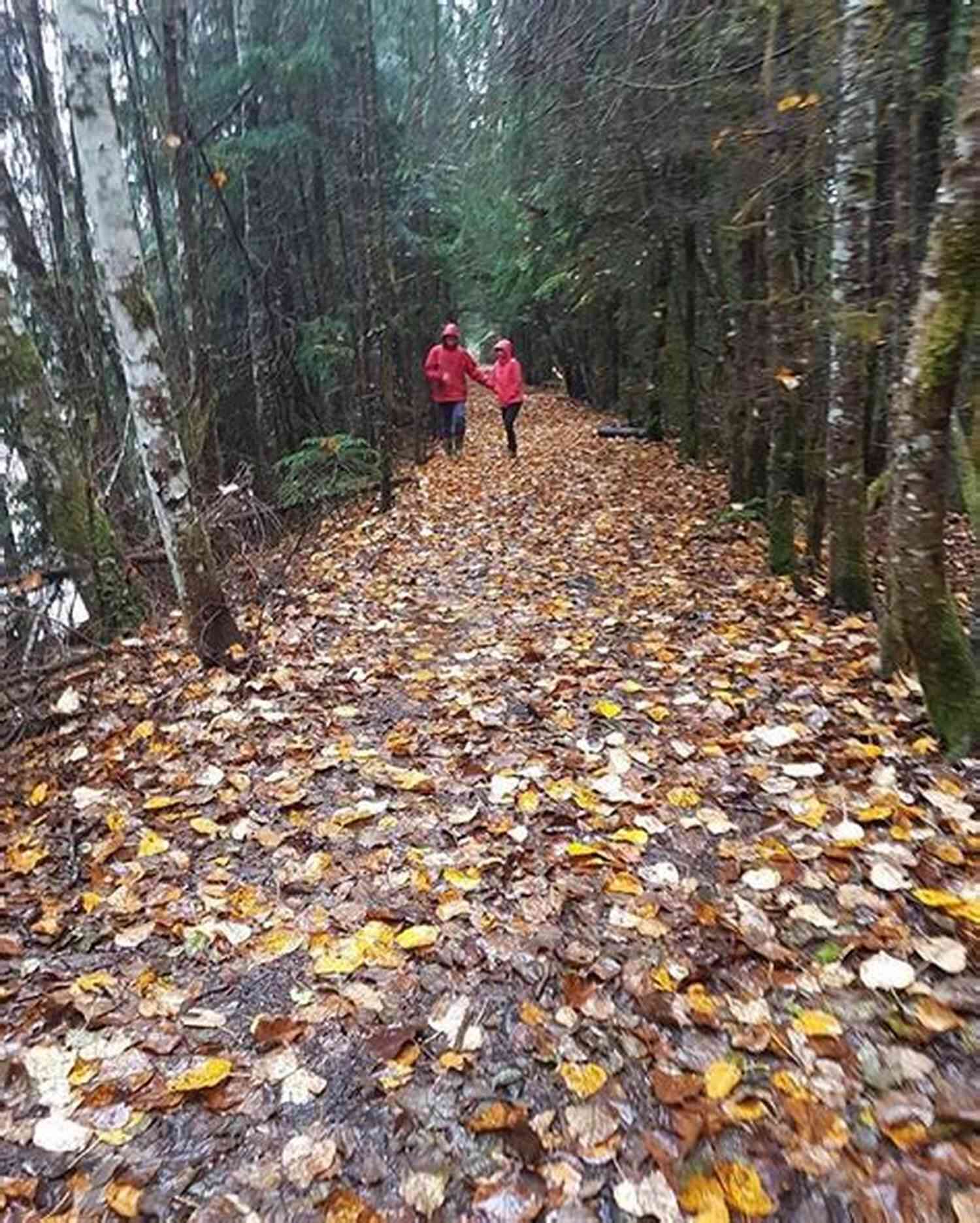 A Still From The Silent Path A Child Walking Barefoot Through A Forest Carpeted With Autumn Leaves. Under The Lintel And Other Shorts