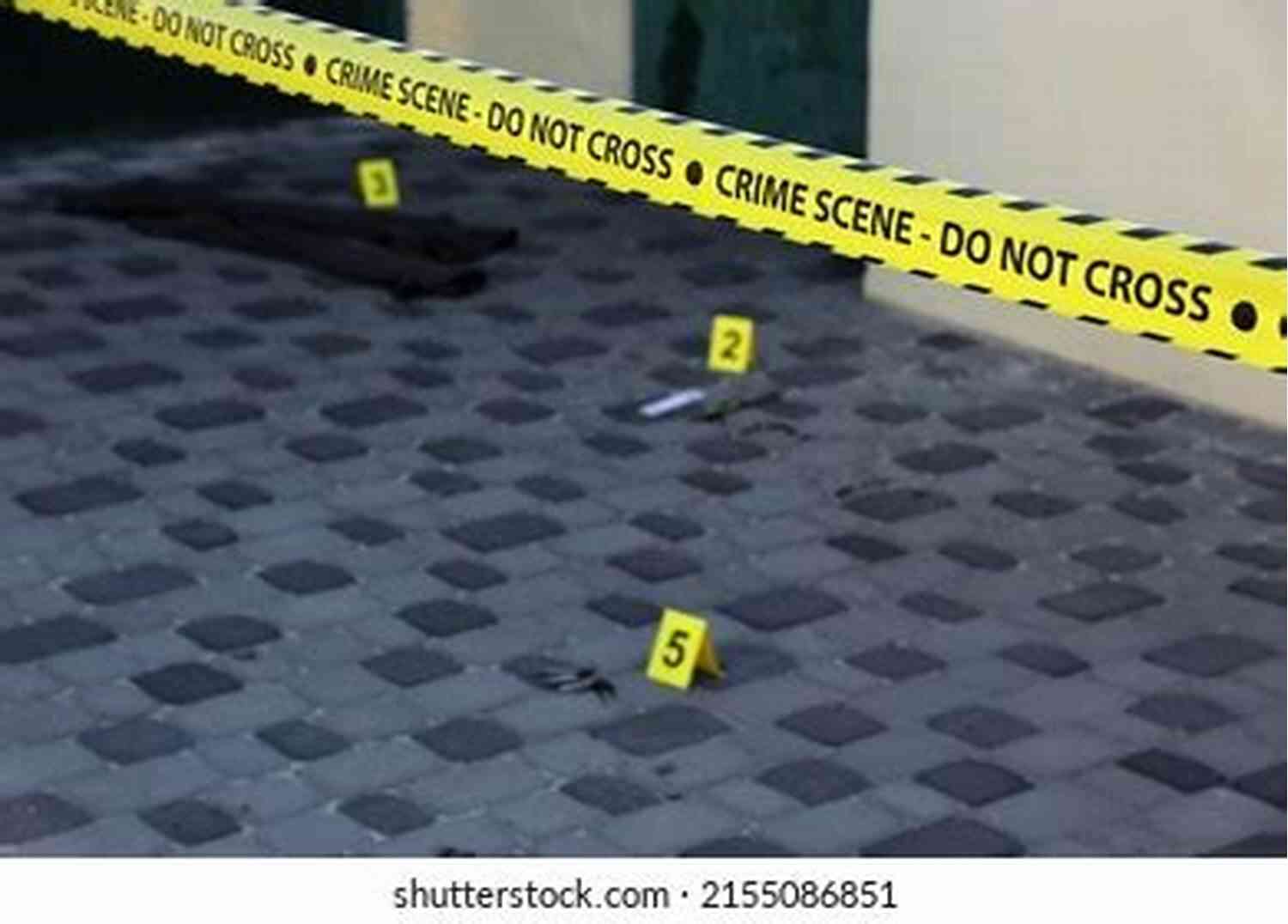 An American Reporter Covering A Crime Scene In Japan Tokyo Vice: An American Reporter On The Police Beat In Japan (Vintage Crime/Black Lizard)