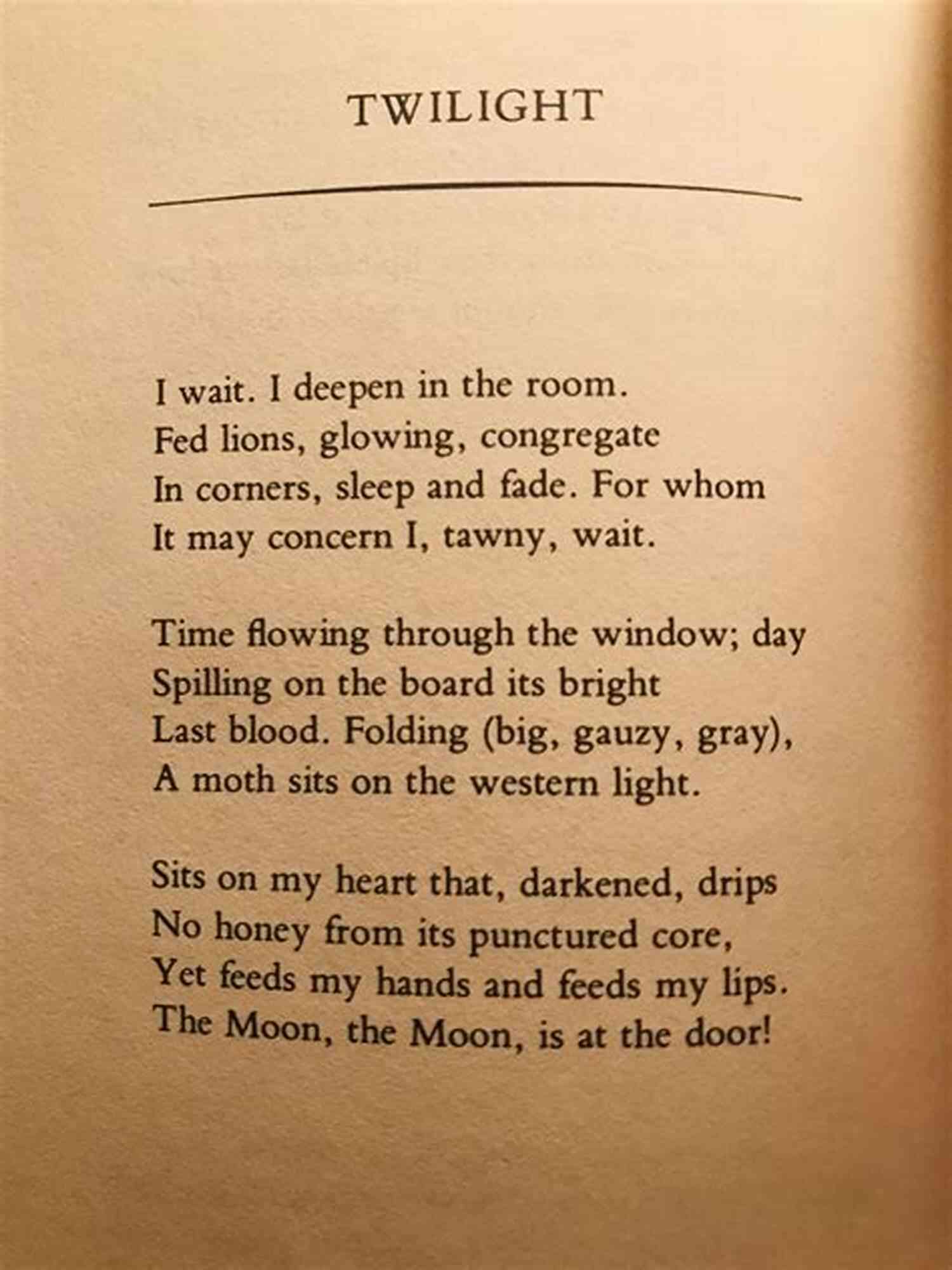 Between The Sun And Moon Civil Twilight Poems Civil Twilight: Poems Jeffrey Schultz