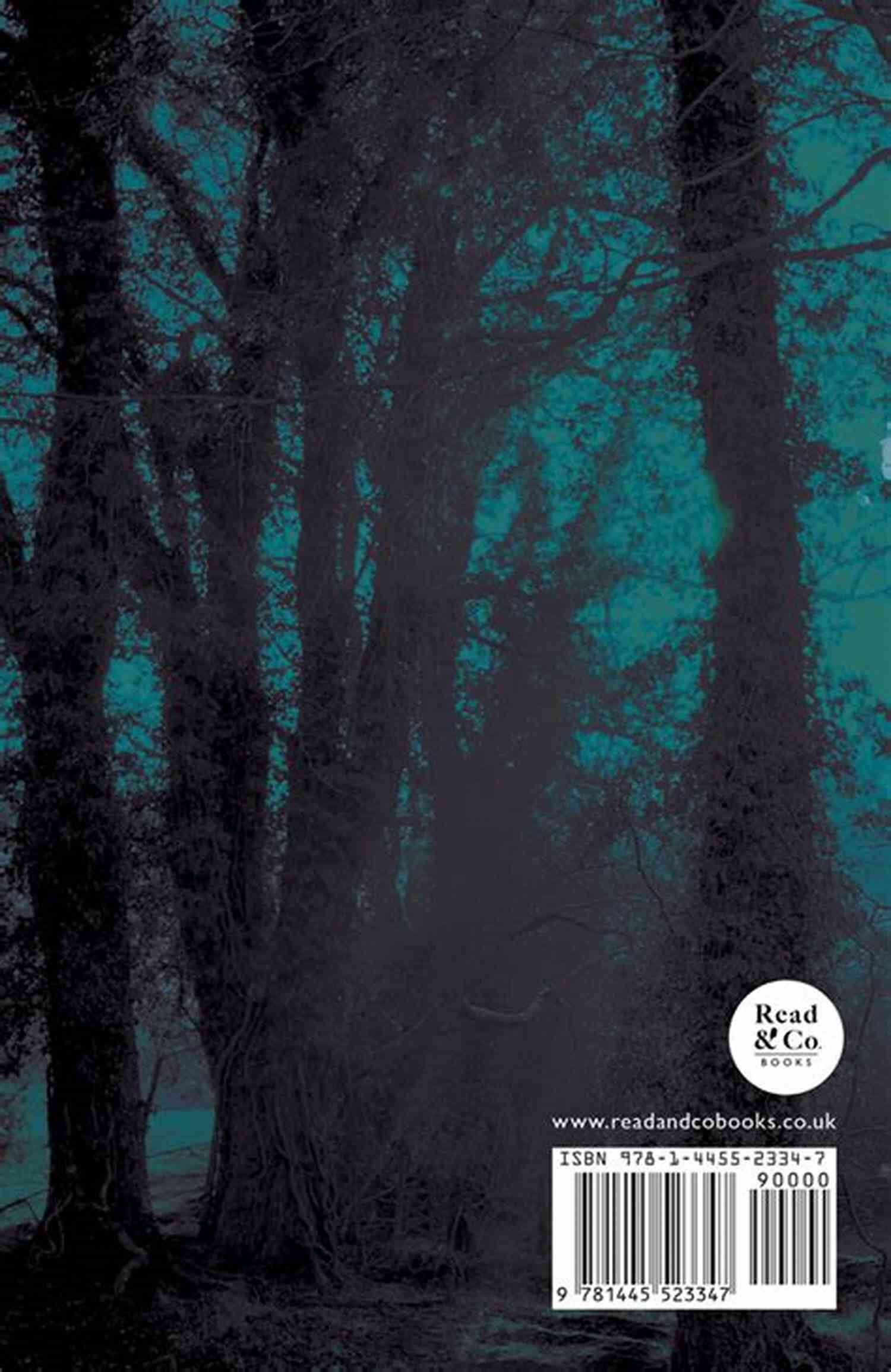 Dame Alice Kyteler The Sorceress Of Kilkenny Dame Alice Kyteler The Sorceress Of Kilkenny A D 1324 (Folklore History Series)