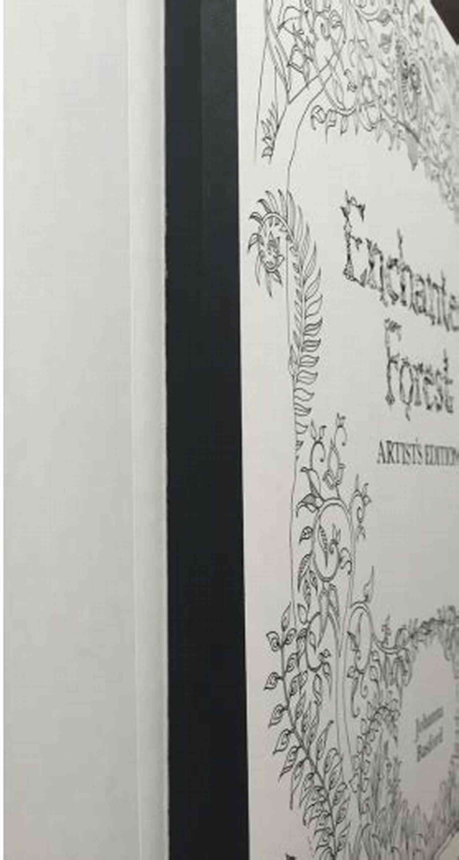 Enchanted Forest By Claire Splan My World Claire Splan
