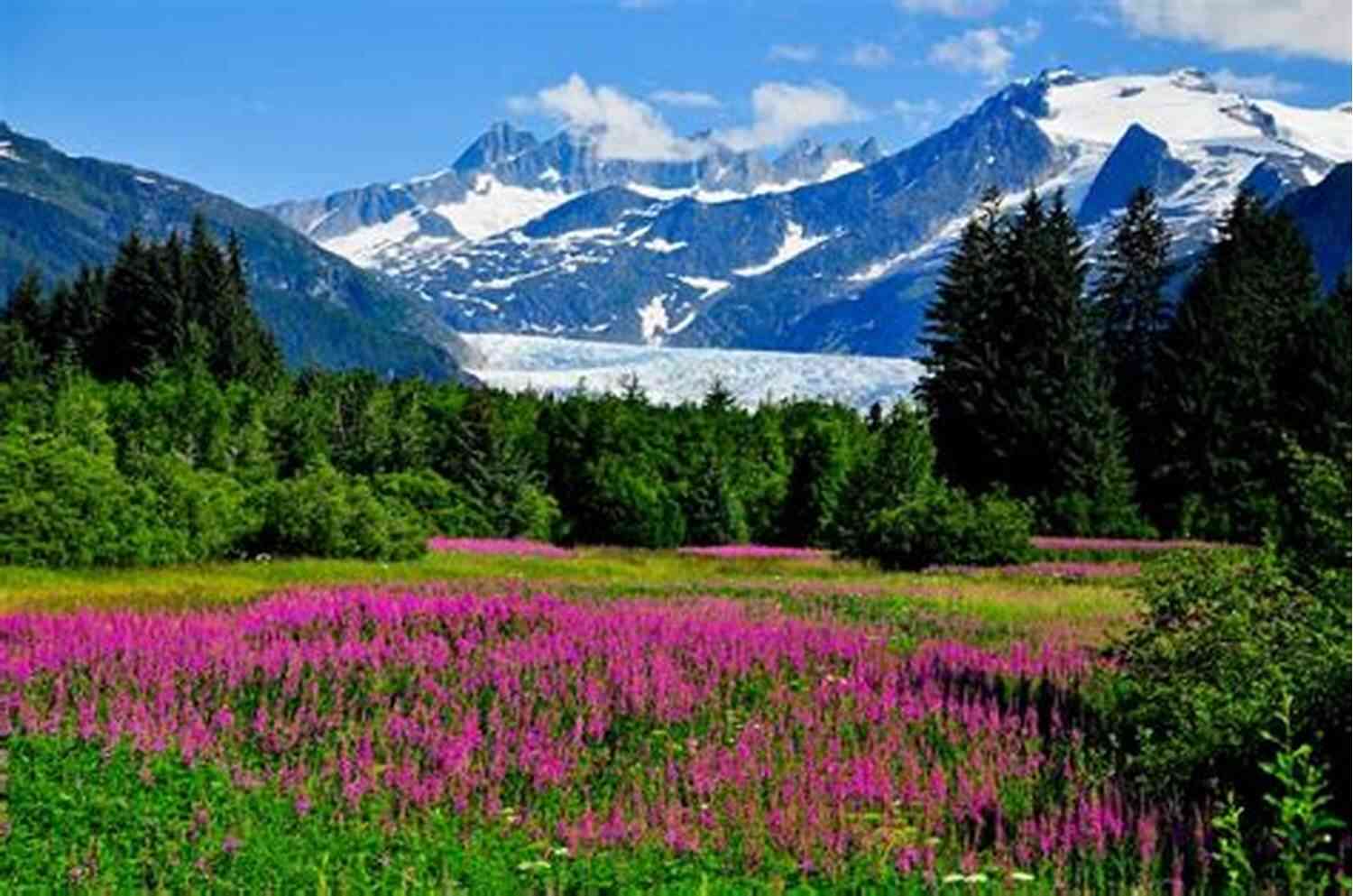 Experience The Breathtaking Beauty And Wild Landscapes Of Alaska Alaska Adventure Romance Collection: Five Novella Collection
