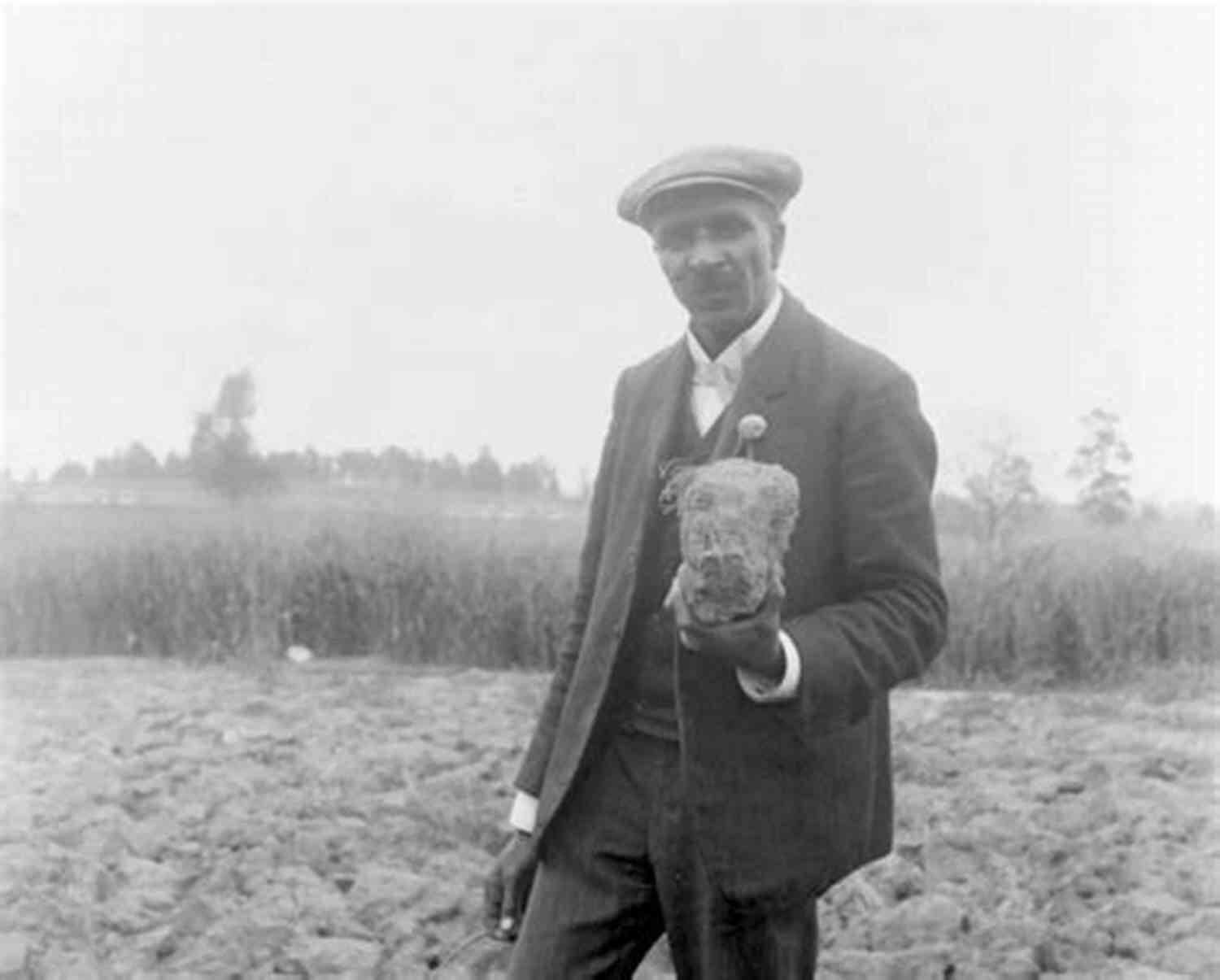 George Washington Carver Holding Peanuts In His Hand The Story Of George Washington Carver
