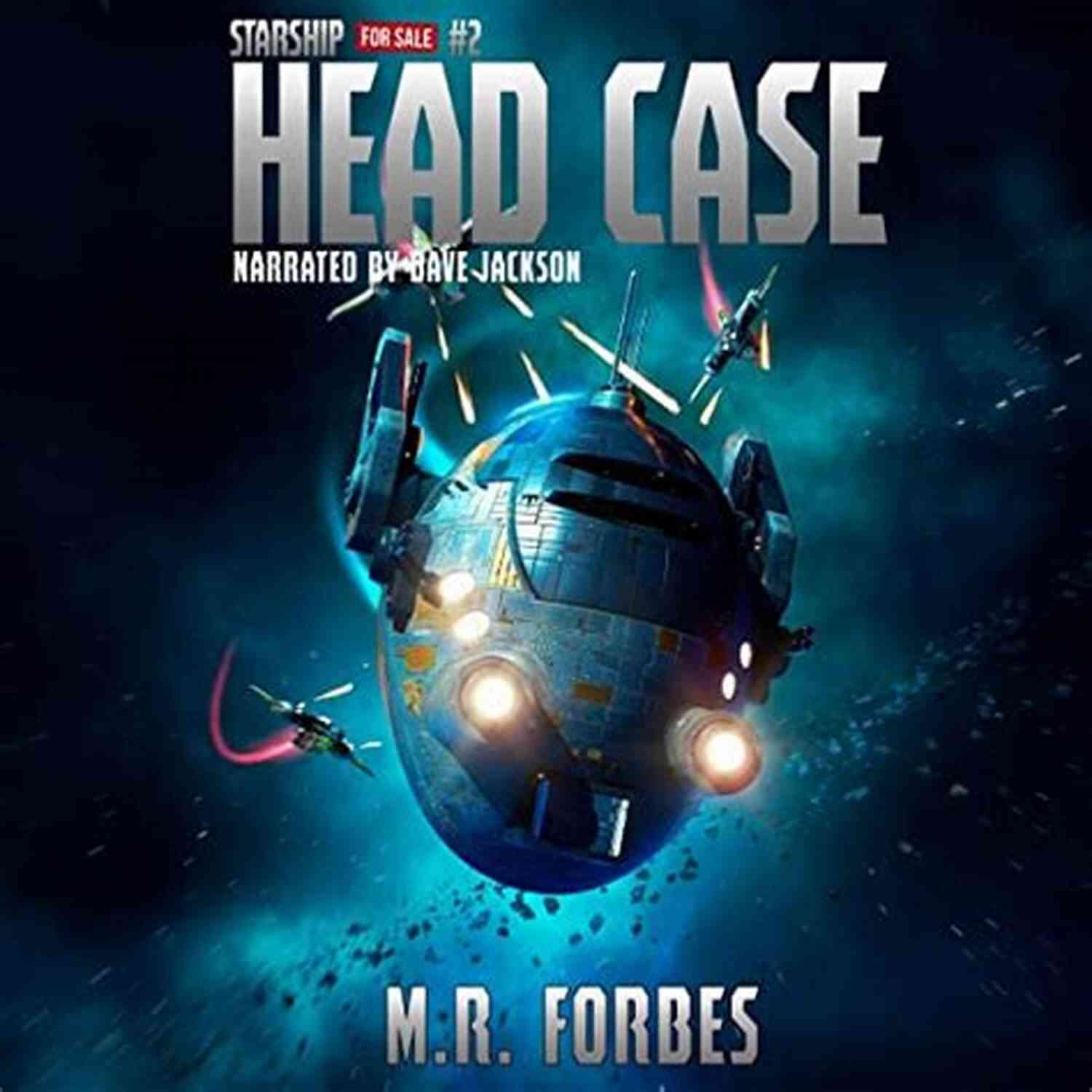 Glimpse Of The Stunning Exterior Of The Head Case Starship Head Case (Starship For Sale 2)