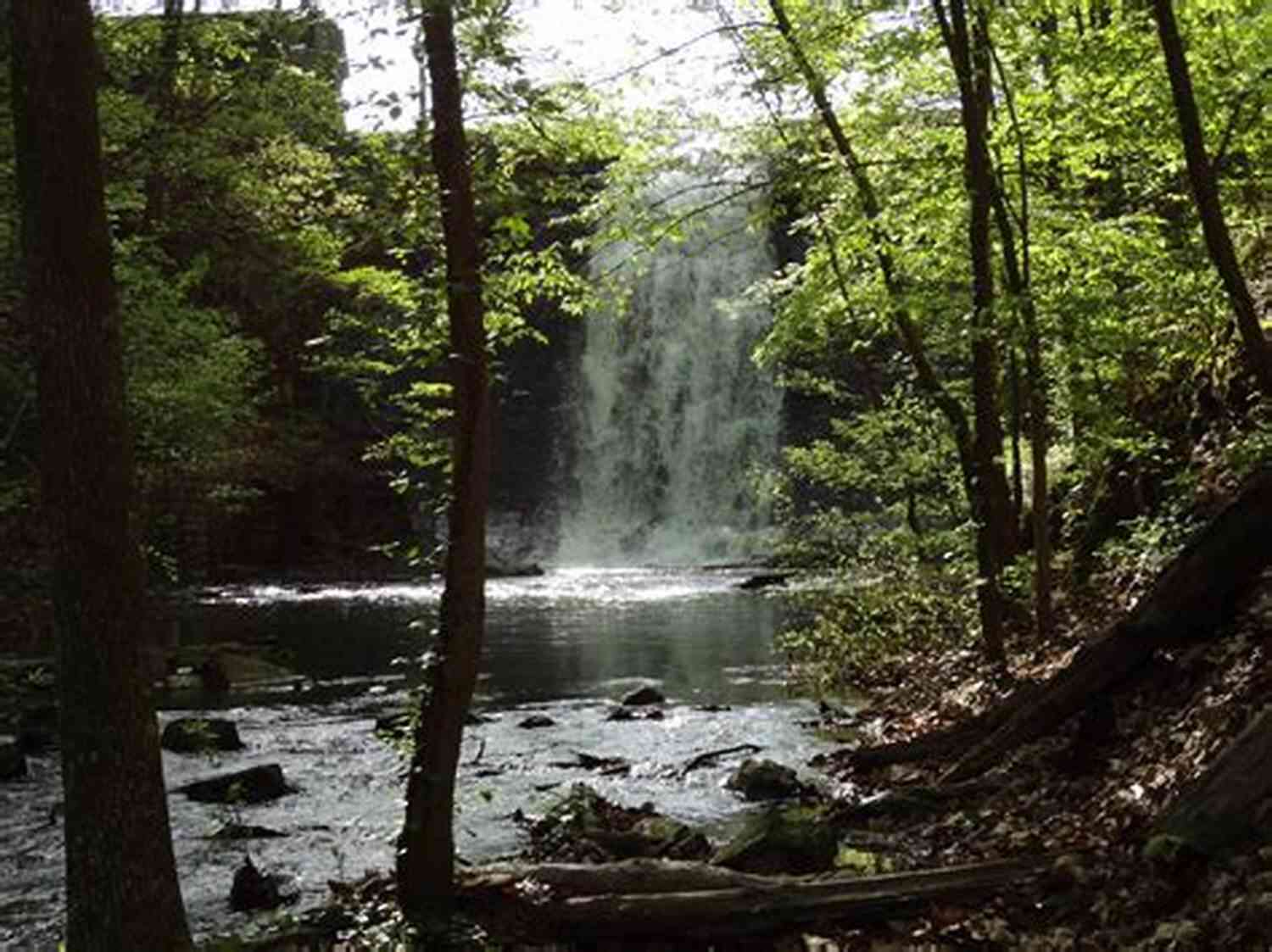 Glimpse The Tranquil Beauty Of The Tranquility Trail Northern Escape (Northern Rescue 1)