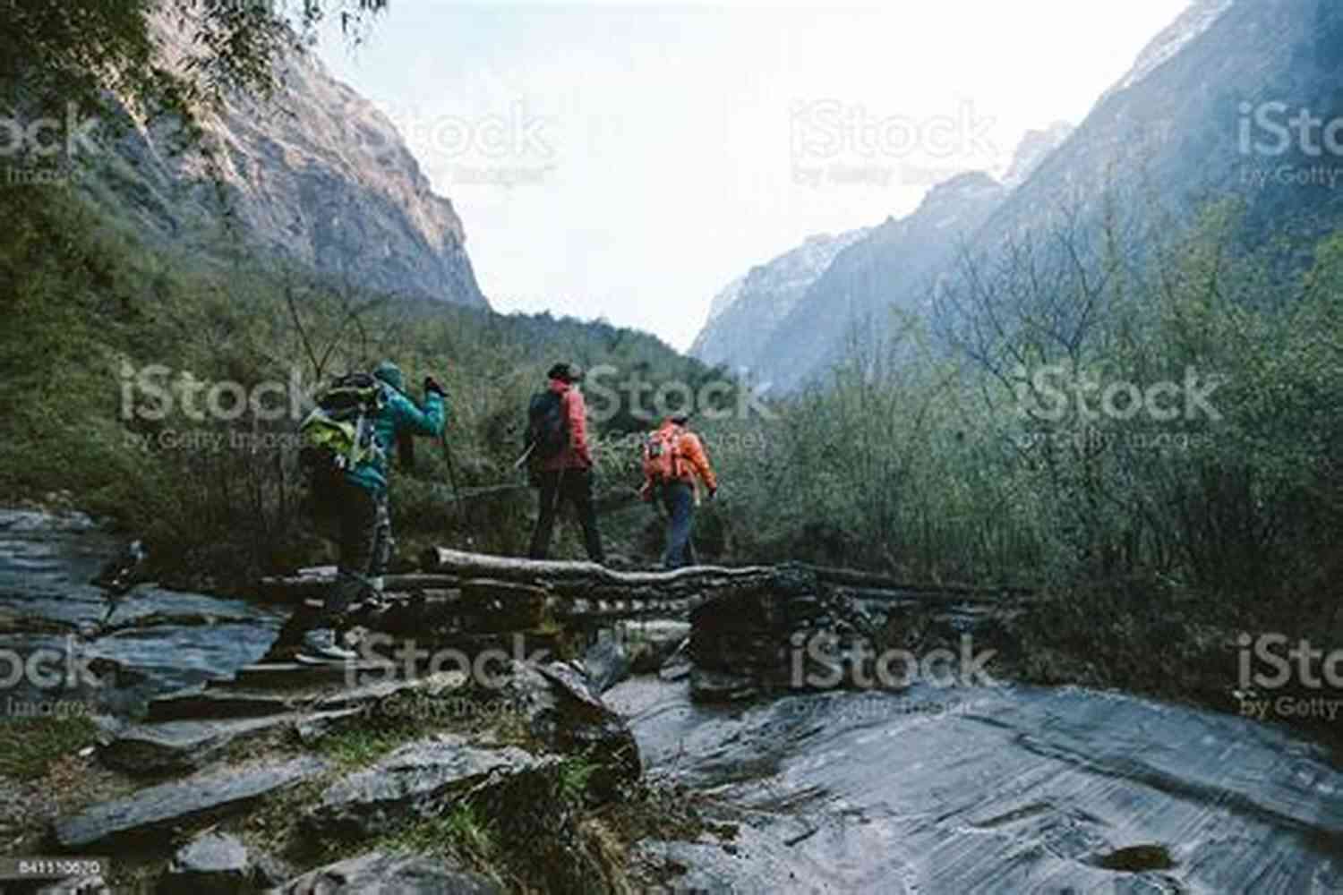 Group Of Hikers Crossing A Narrow Suspension Bridge With Stunning Mountain Views The Trail To Crazy Man: Stories
