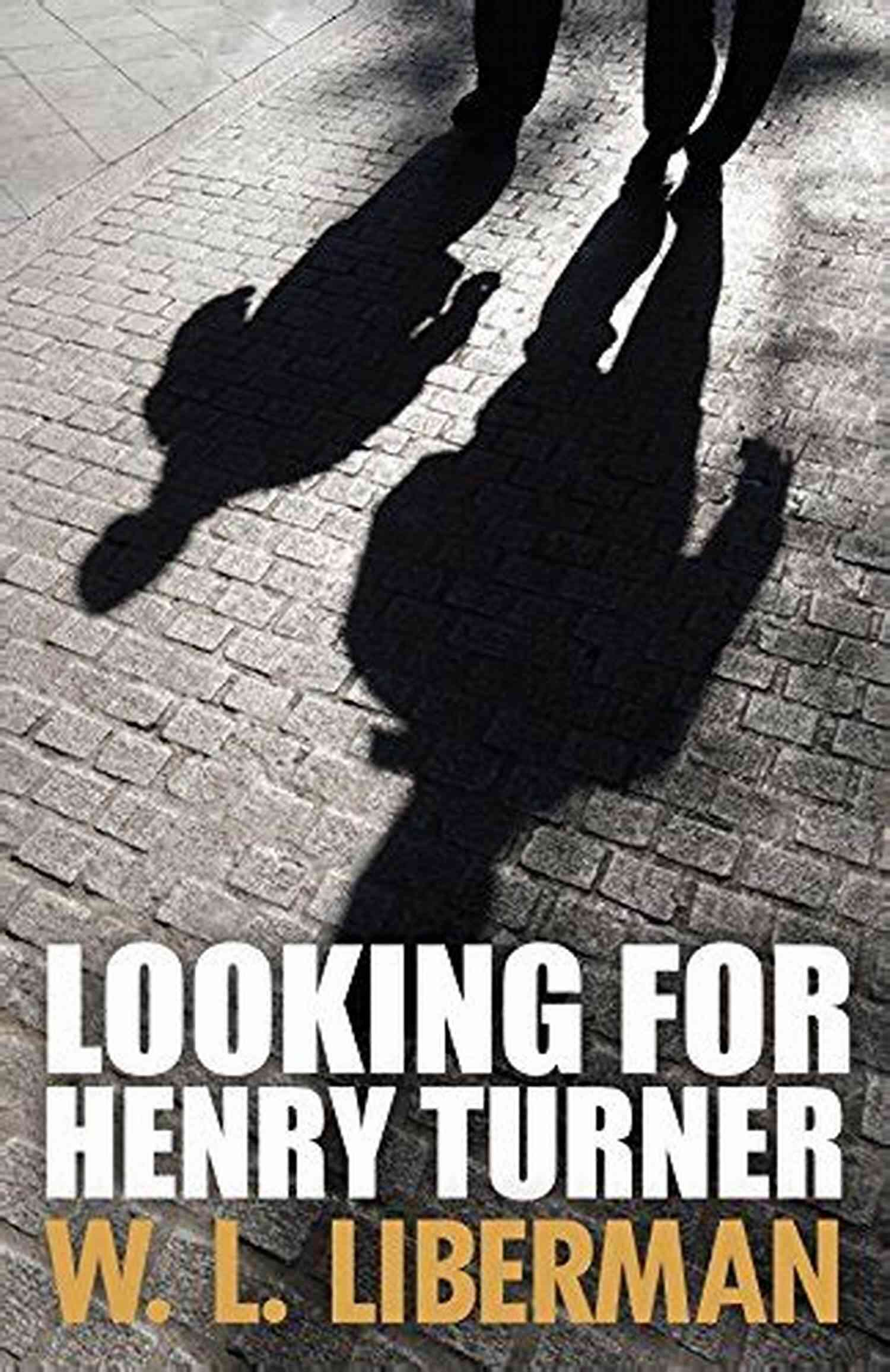 Henry Turner, Mo Gold, Birdie Mysteries: Unraveling The Intrigue Looking For Henry Turner (Mo Gold And Birdie Mysteries 1)