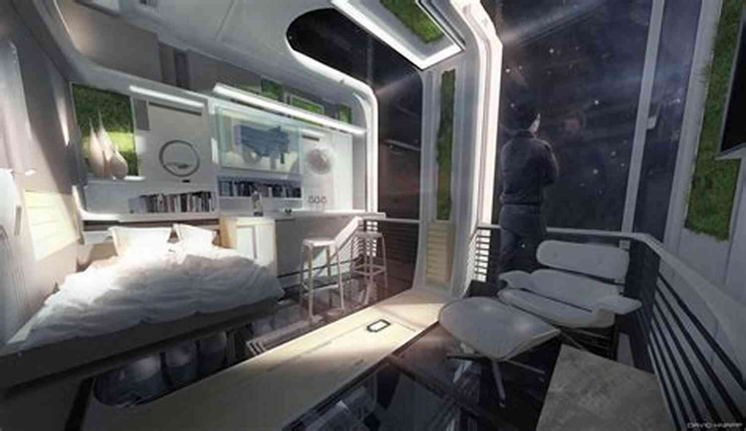 Luxurious Living Quarters Inside The Head Case Starship Head Case (Starship For Sale 2)