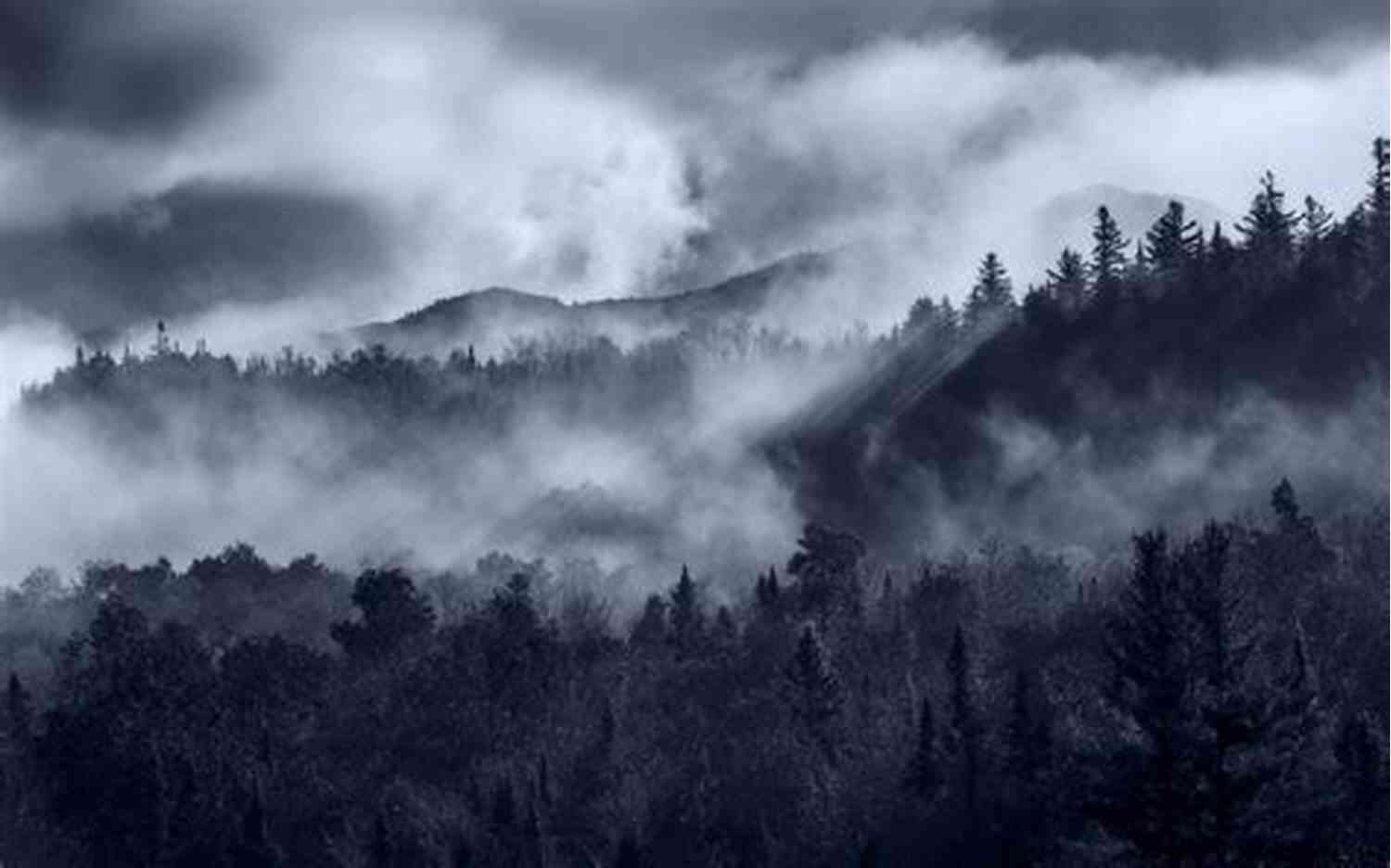 Magical Forest Landscape Covered In Mist And Vibrant Colors The Covenant (Arbor S Shorty Stories)