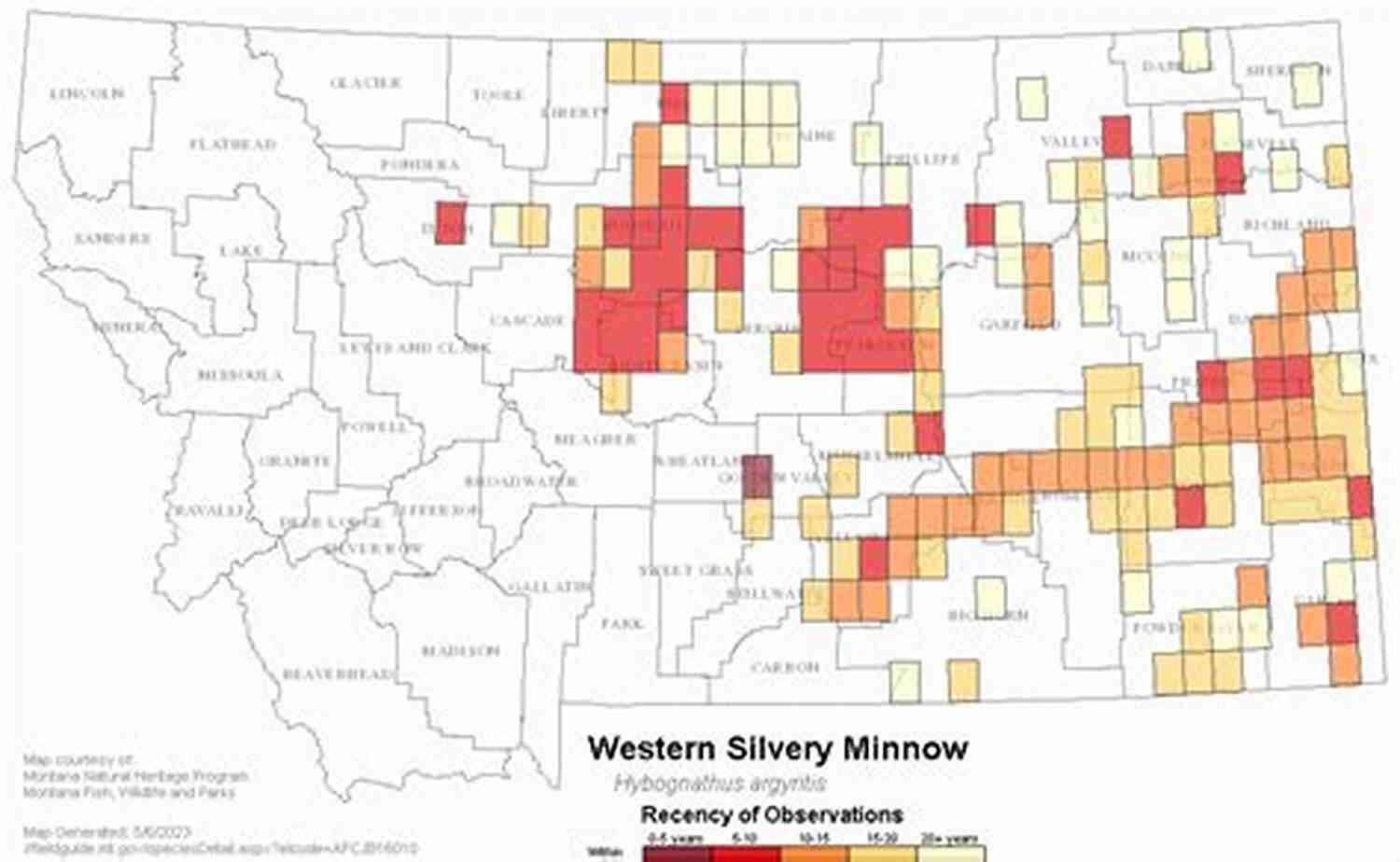 Minnow Exploring The Montana Wilderness The Sacred Lies Of Minnow Bly