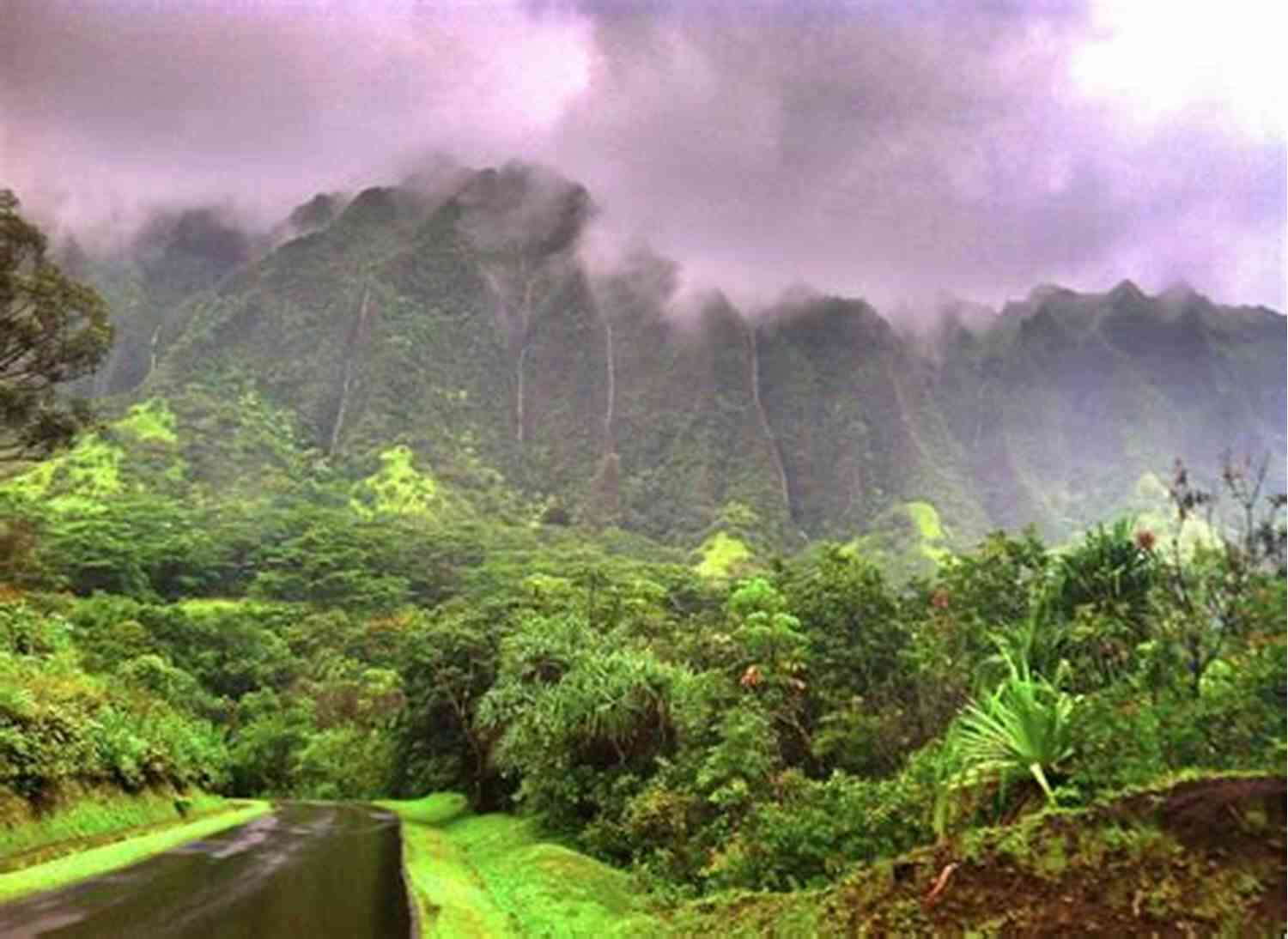 Sharon Connell The Enigmatic Beauty Of Ko Olau Ko Olau S Secret Sharon Connell