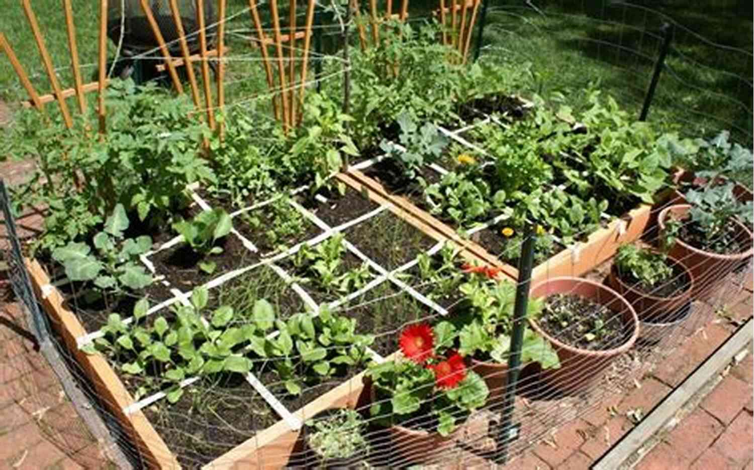 Vegetable Gardening For Beginners: Everything You Need To Know To Start Your Own Vegetable Garden Vegetable Gardening For Beginners: A Guide To Start Growing Your Own Indoor Or Outdoor Food Garden Including Container Raised Bed Kitchen Gardening (Gardening With Elizabeth Martens)